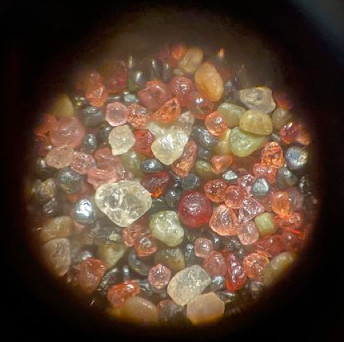 The Beauty Beneath Our Feet