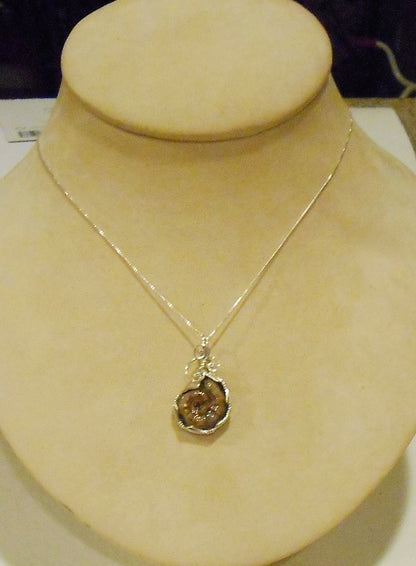 Pyritized Ammonite fossil pendant with ammolite features sterling silver wire wrapped