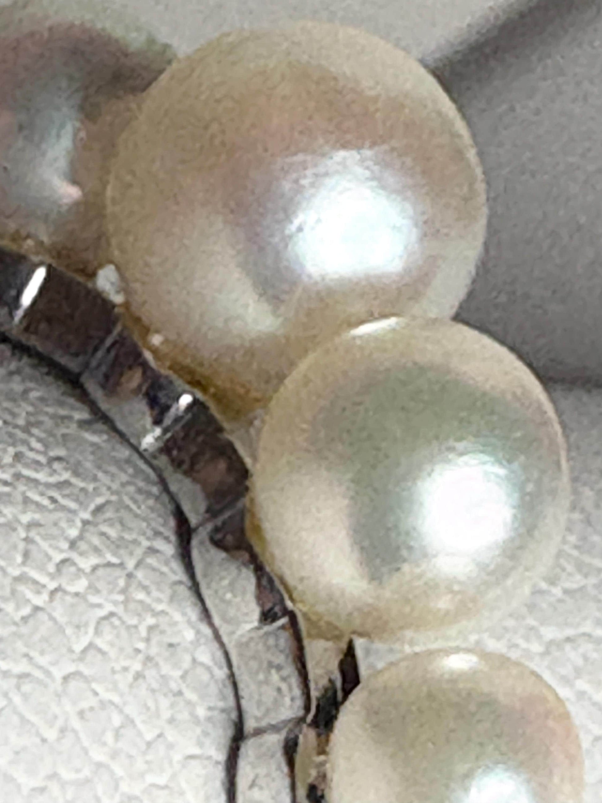 18k white gold band ring with five Japanese Akoya cultured pearls.