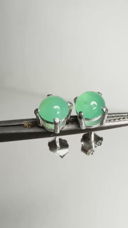 Australian Chrysoprase Cabochon Stud Earrings in Sterling Silver 5mm